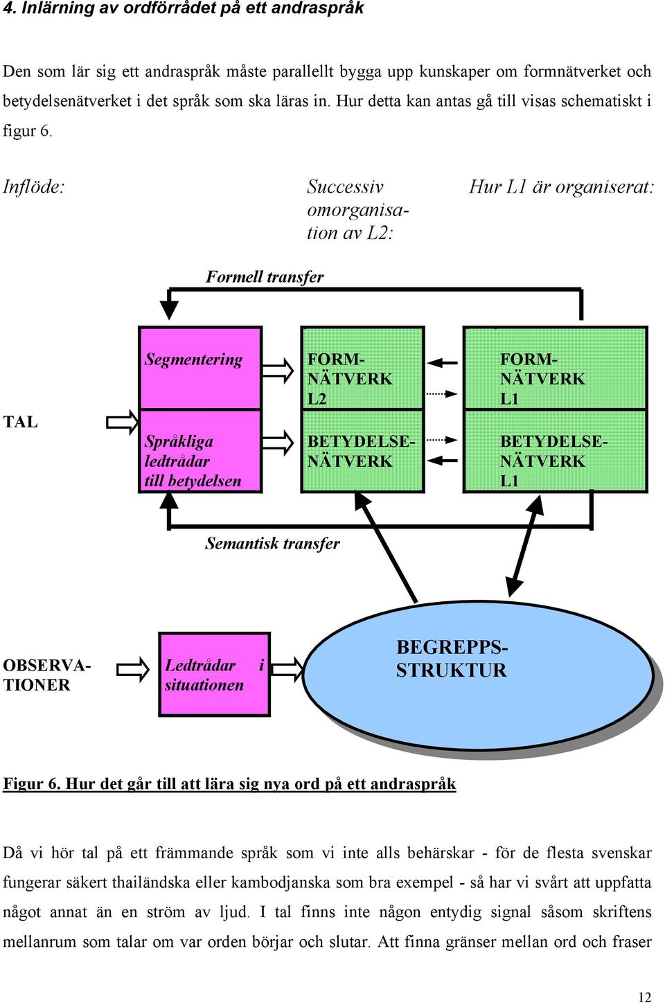 Inflöde: Formell transfer Successiv omorganisation av L2: Hur L1 är organiserat: TAL Segmentering Språkliga ledtrådar till betydelsen FORM- NÄTVERK L2 BETYDELSE- NÄTVERK L2 FORM- NÄTVERK L1