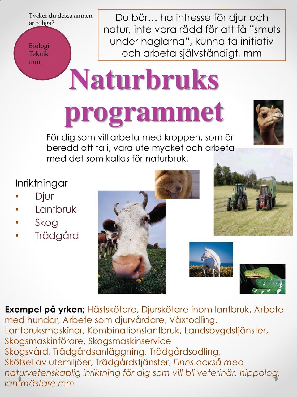 Naturbruks prograet För dig som vill arbeta med kroppen, som är beredd att ta i, vara ute mycket och arbeta med det som kallas för naturbruk.