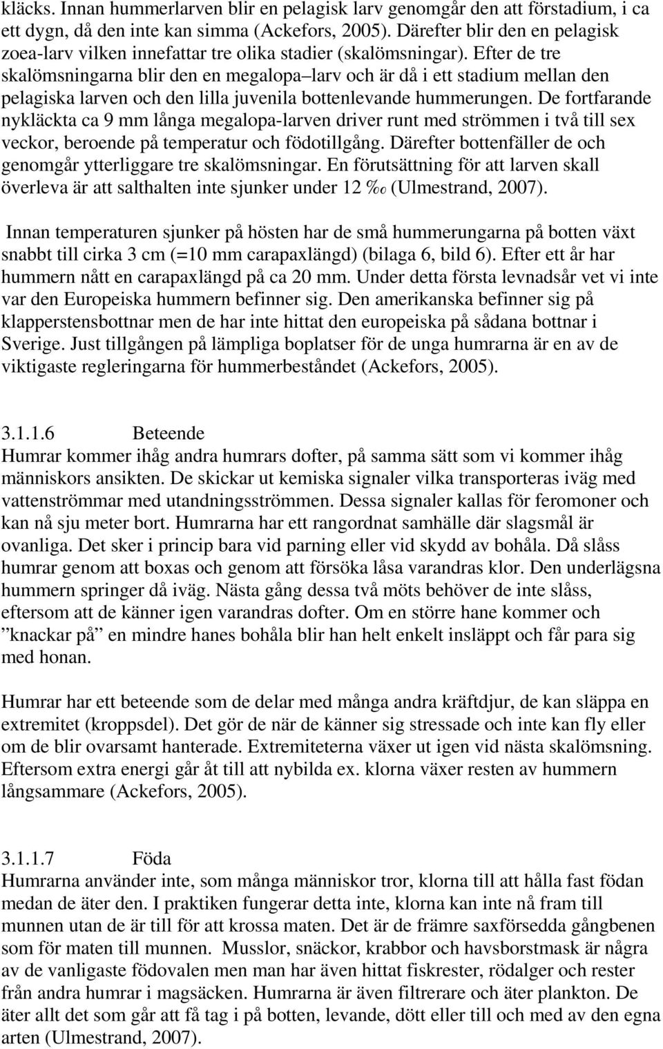 Efter de tre skalömsningarna blir den en megalopa larv och är då i ett stadium mellan den pelagiska larven och den lilla juvenila bottenlevande hummerungen.