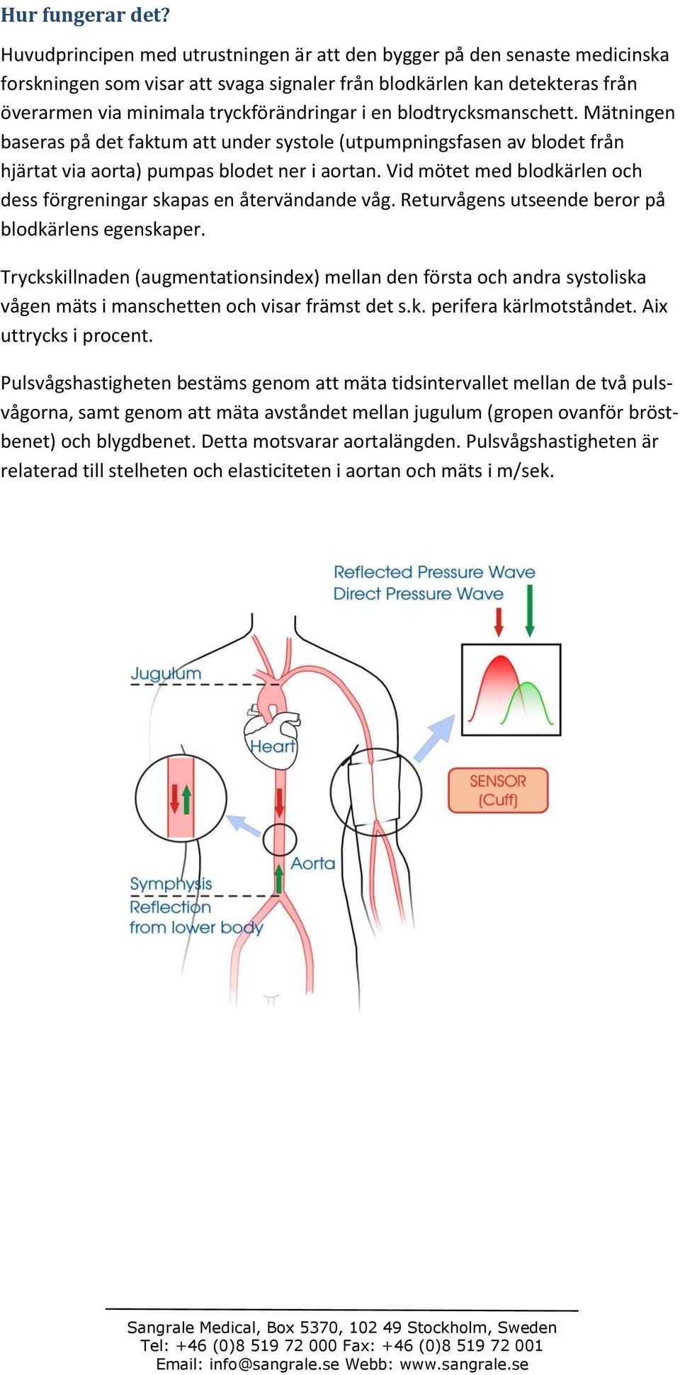 blodtrycksmanschett. Mätningen baseras på det faktum att under systole (utpumpningsfasen av blodet från hjärtat via aorta) pumpas blodet ner i aortan.