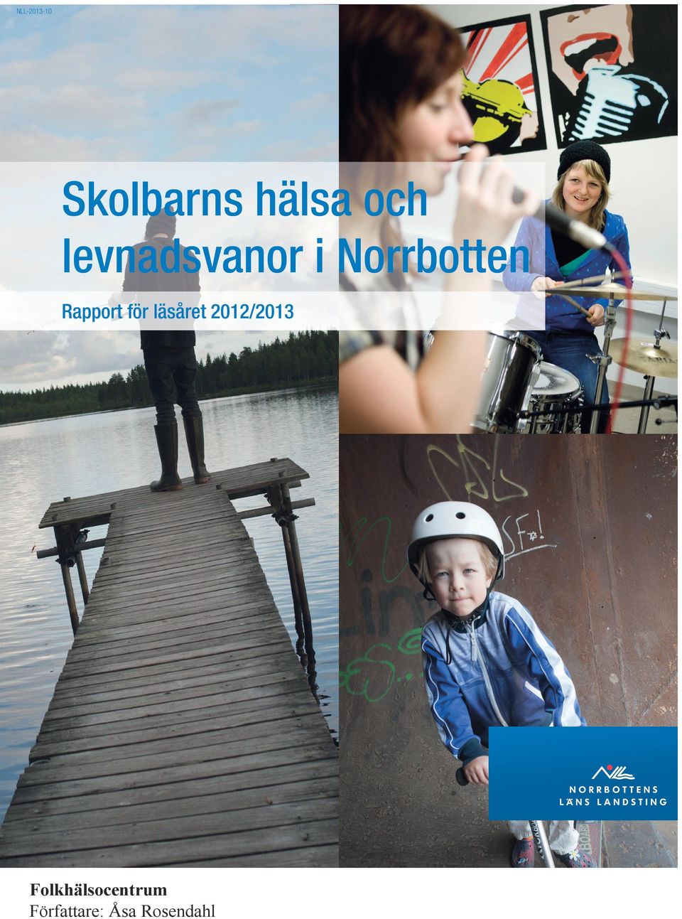 Rapport för läsåret 2012/2013