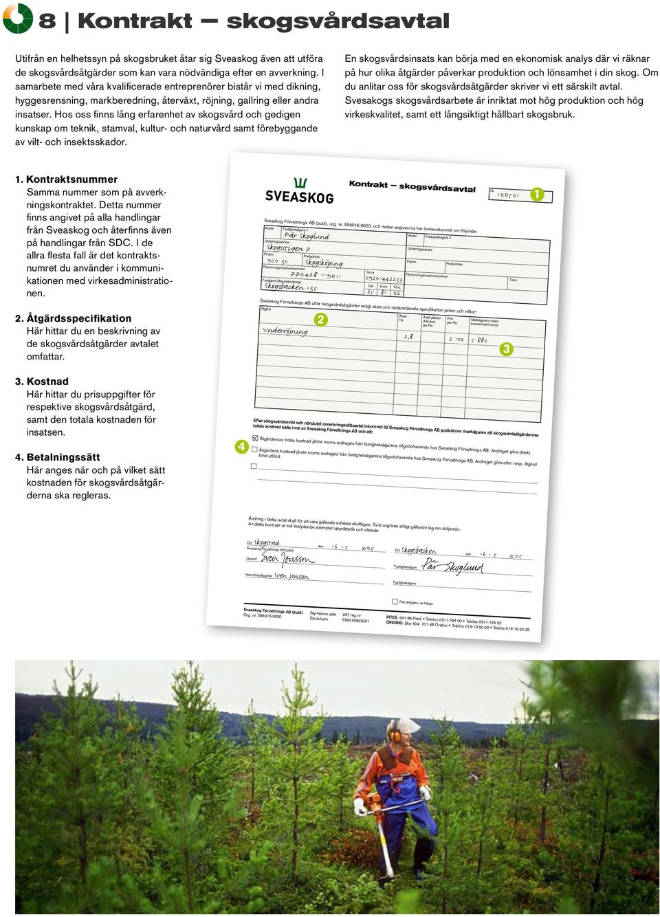 Hos oss finns lång erfarenhet av skogsvård och gedigen kunskap om teknik, stamval, kultur- och naturvård samt förebyggande av vilt- och insektsskador.