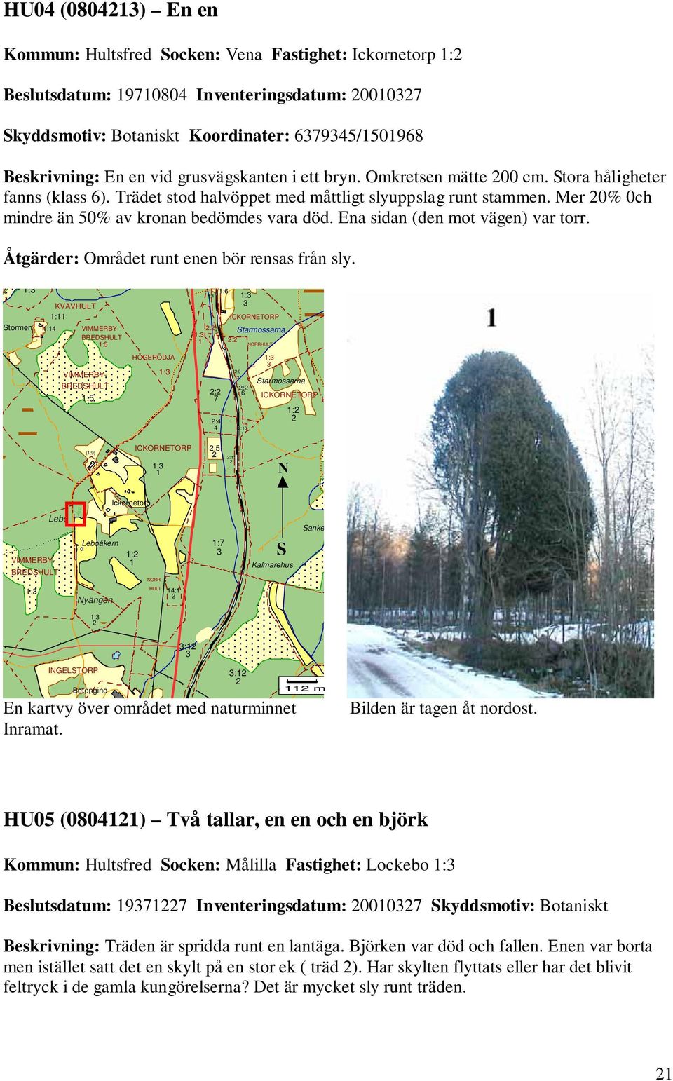 Ena sidan den mot vägen) var torr. Åtgärder: Området runt enen ör rensas från sly.