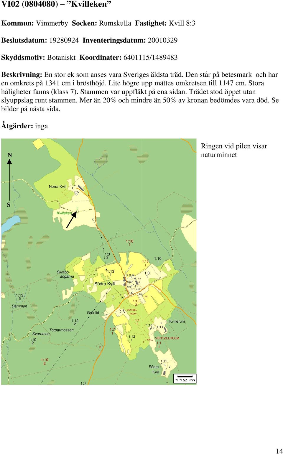 tammen var uppfläkt på ena sidan. Trädet stod öppet utan slyuppslag runt stammen. Mer än 0% och mindre än 50% av kronan edömdes vara död. e ilder på nästa sida.