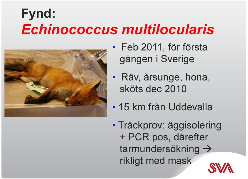 dec 2010 15 km från Uddevalla Träckprov:
