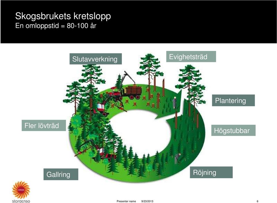 Plantering Fler lövträd Högstubbar