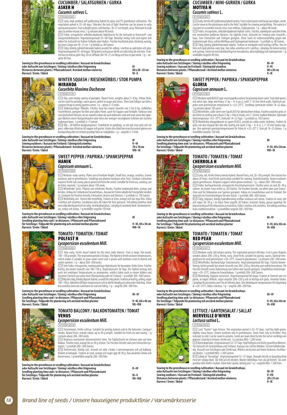 2,500 Samen Gemüse Möhre Herbst King 2 Ca 3 Gramm