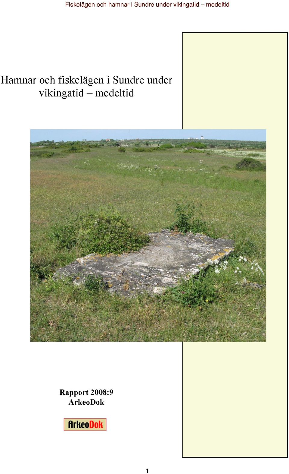 under vikingatid