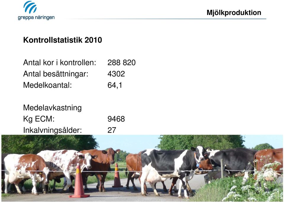 besättningar: 4302 Medelkoantal: 64,1