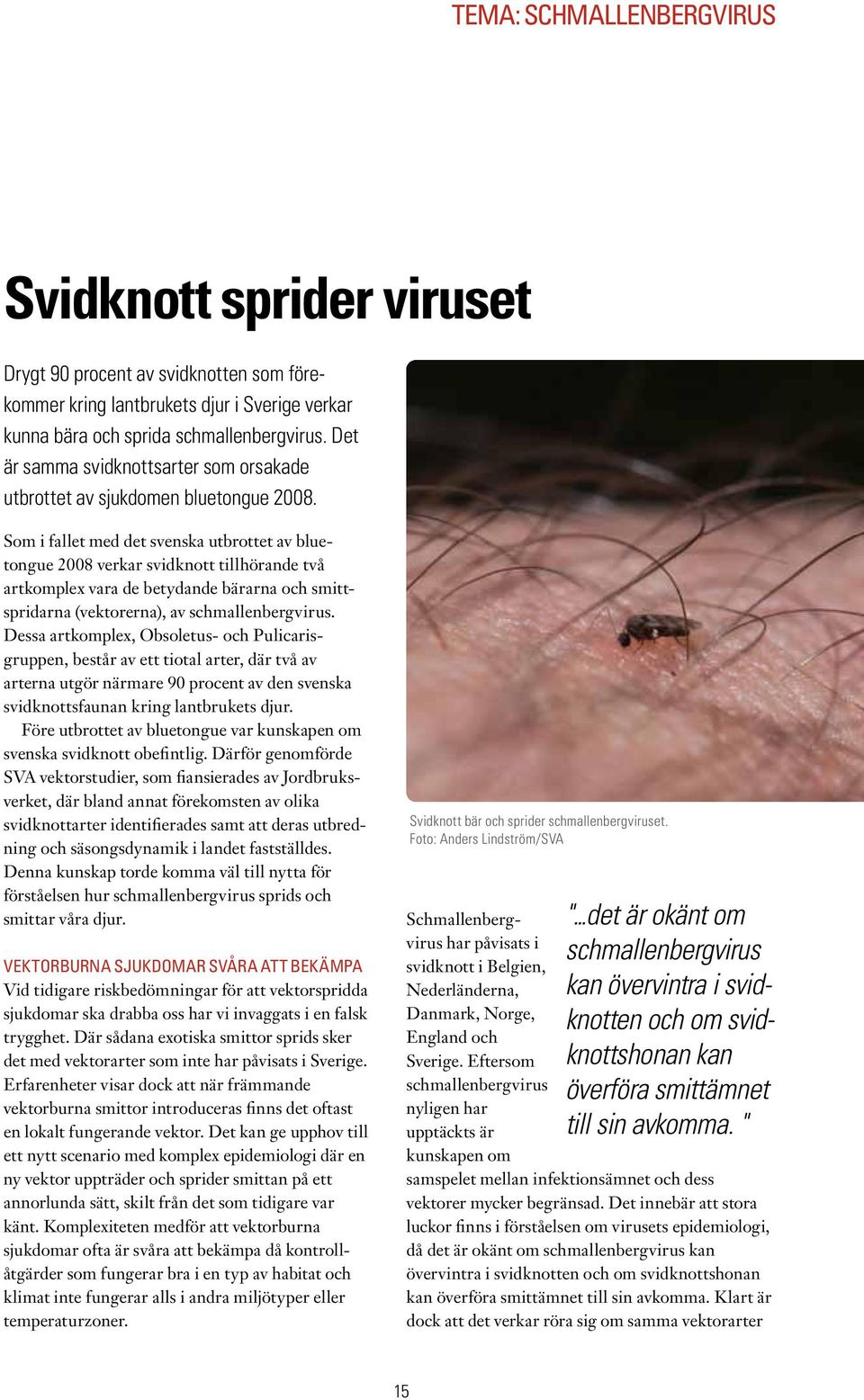 Som i fallet med det svenska utbrottet av bluetongue 2008 verkar svidknott tillhörande två artkomplex vara de betydande bärarna och smittspridarna (vektorerna), av schmallenbergvirus.