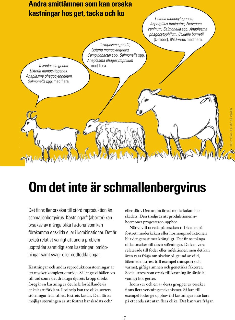 Listeria monocytogenes, Aspergillus fumigatus, Neospora caninum, Salmonella spp, Anaplasma phagocytophilum, Coxiella burnetii (Q-feber), BVD-virus med flera.