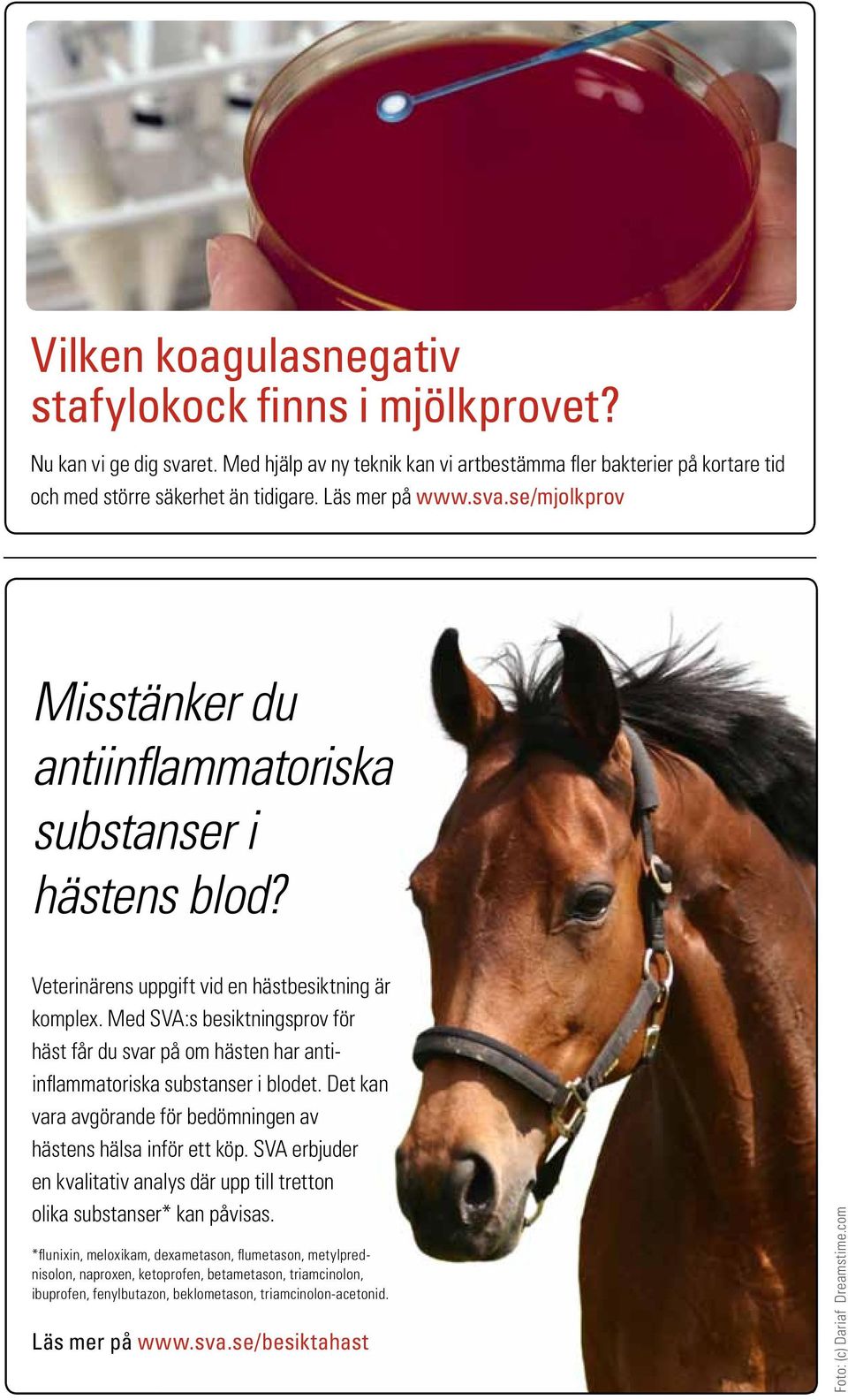 Med SVA:s besiktningsprov för häst får du svar på om hästen har antiinflammatoriska substanser i blodet. Det kan vara avgörande för bedömningen av hästens hälsa inför ett köp.