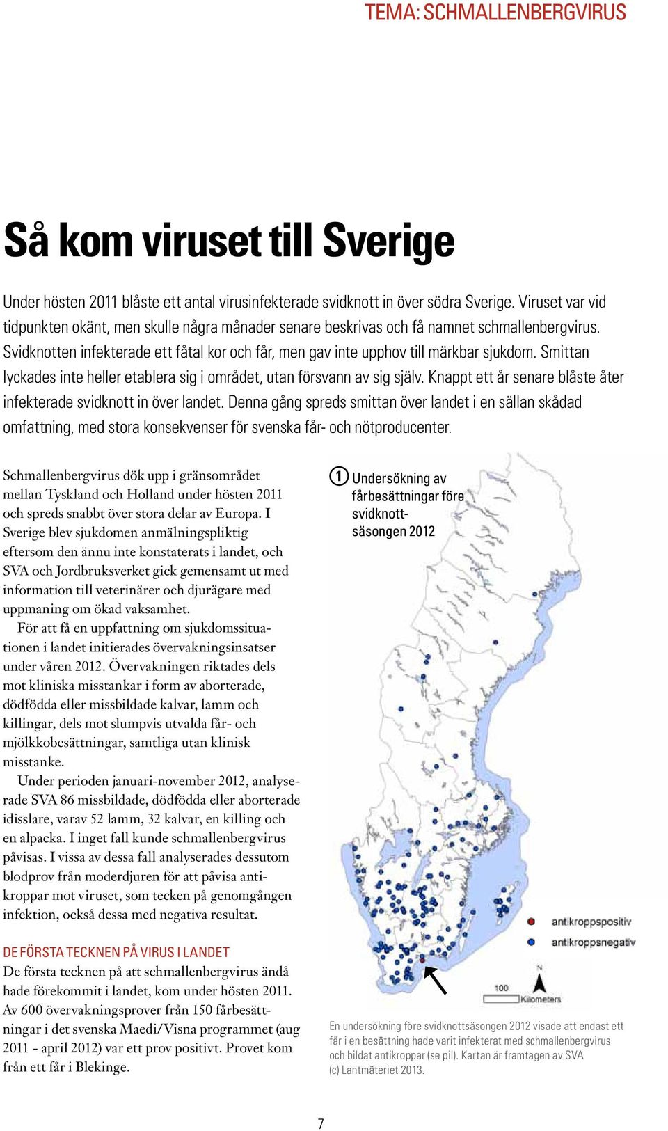 Smittan lyckades inte heller etablera sig i området, utan försvann av sig själv. Knappt ett år senare blåste åter infekterade svidknott in över landet.
