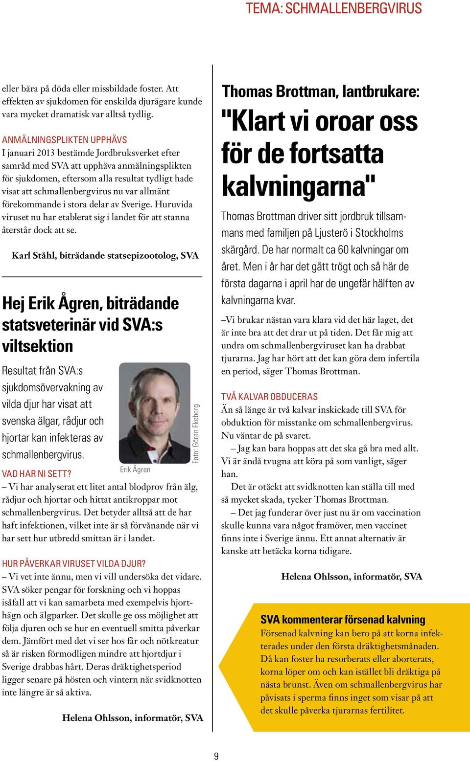 var allmänt förekommande i stora delar av Sverige. Huruvida viruset nu har etablerat sig i landet för att stanna återstår dock att se.
