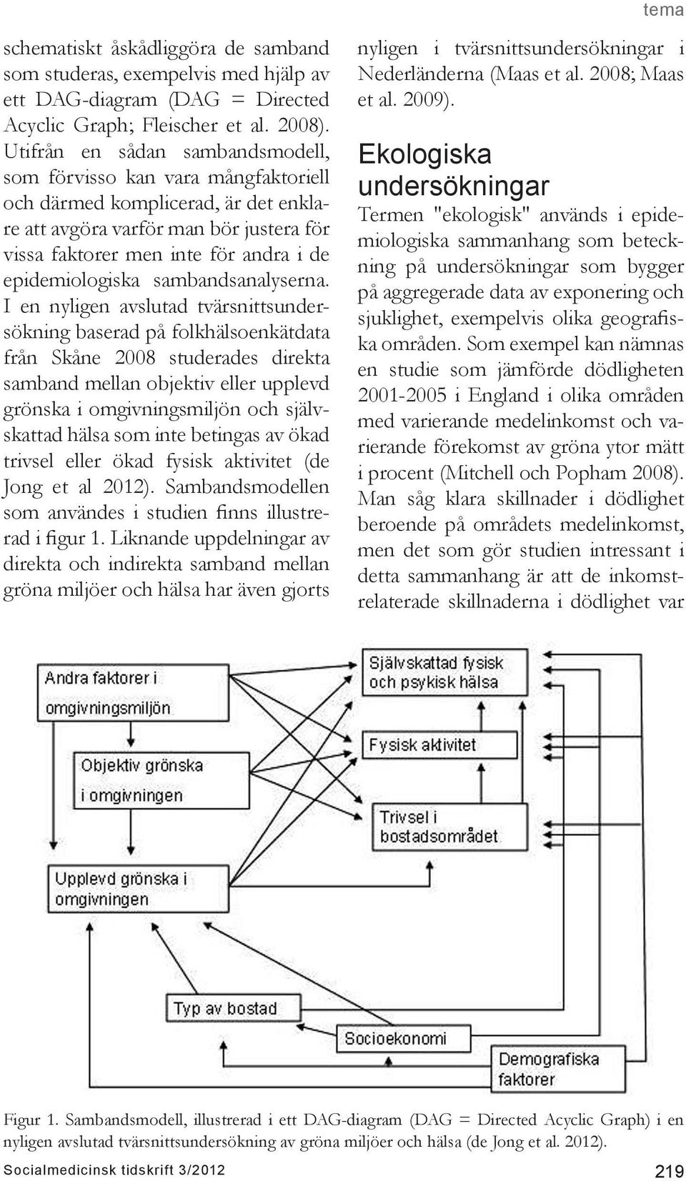 epidemiologiska sambandsanalyserna.