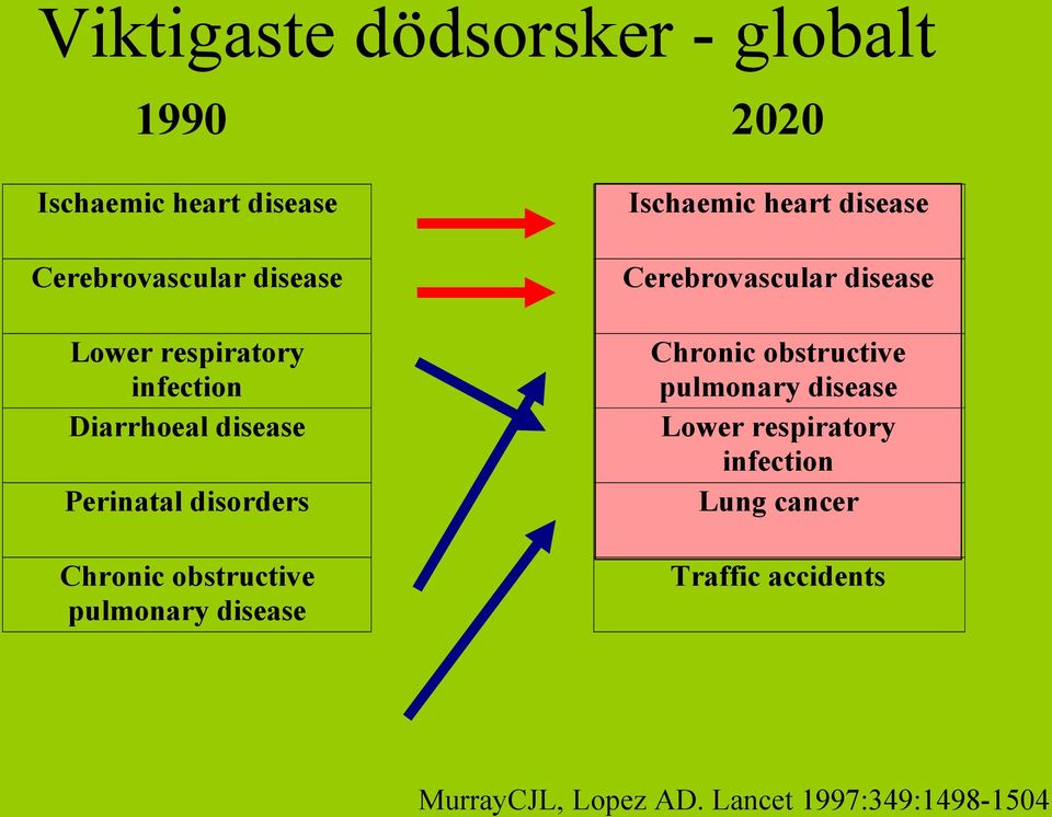 Chronic obstructive pulmonary disease Lower respiratory infection Lung cancer Perinatal