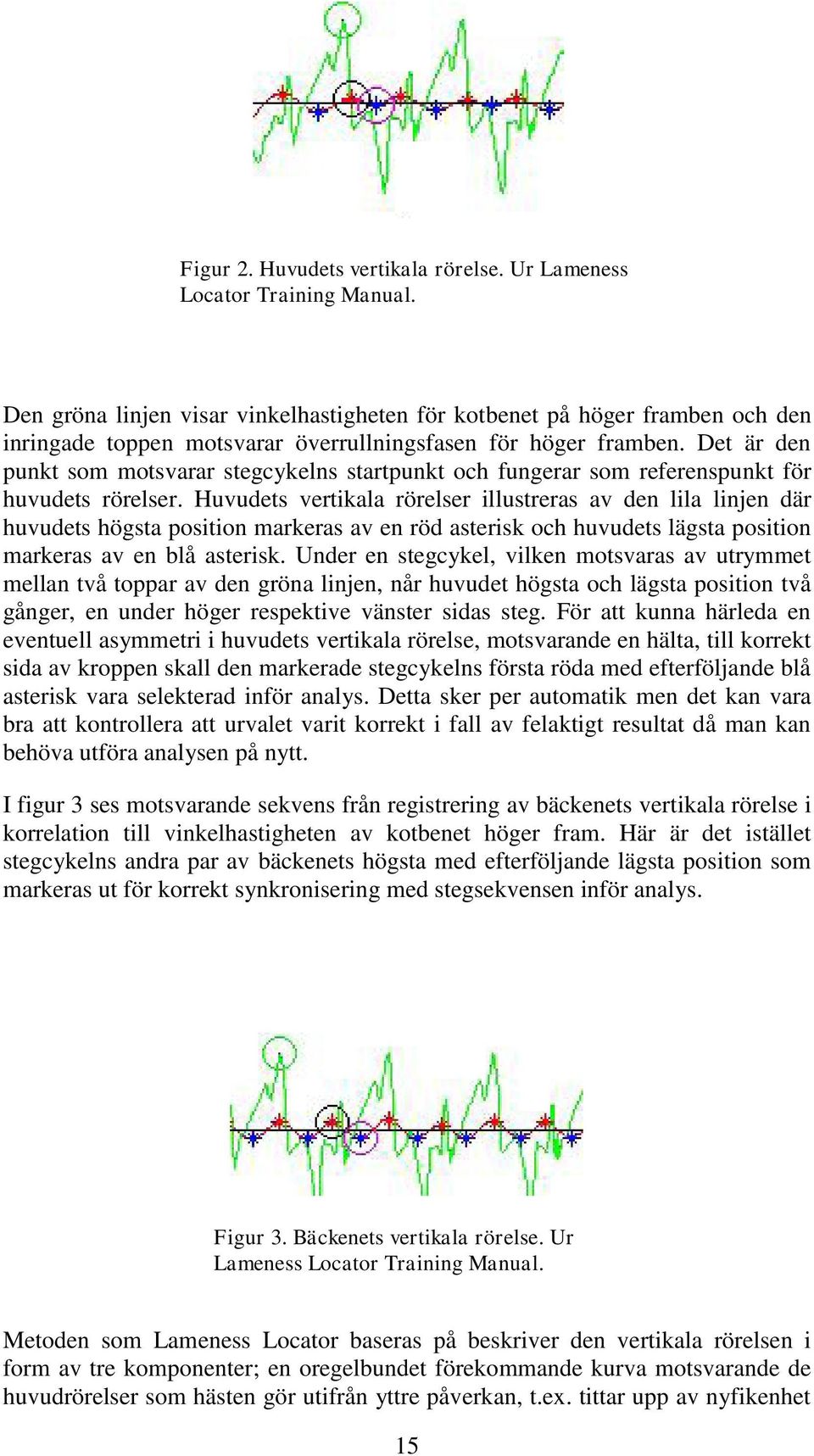 Det är den punkt som motsvarar stegcykelns startpunkt och fungerar som referenspunkt för huvudets rörelser.