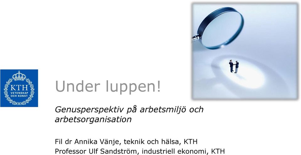 arbetsorganisation Fil dr Annika Vänje,