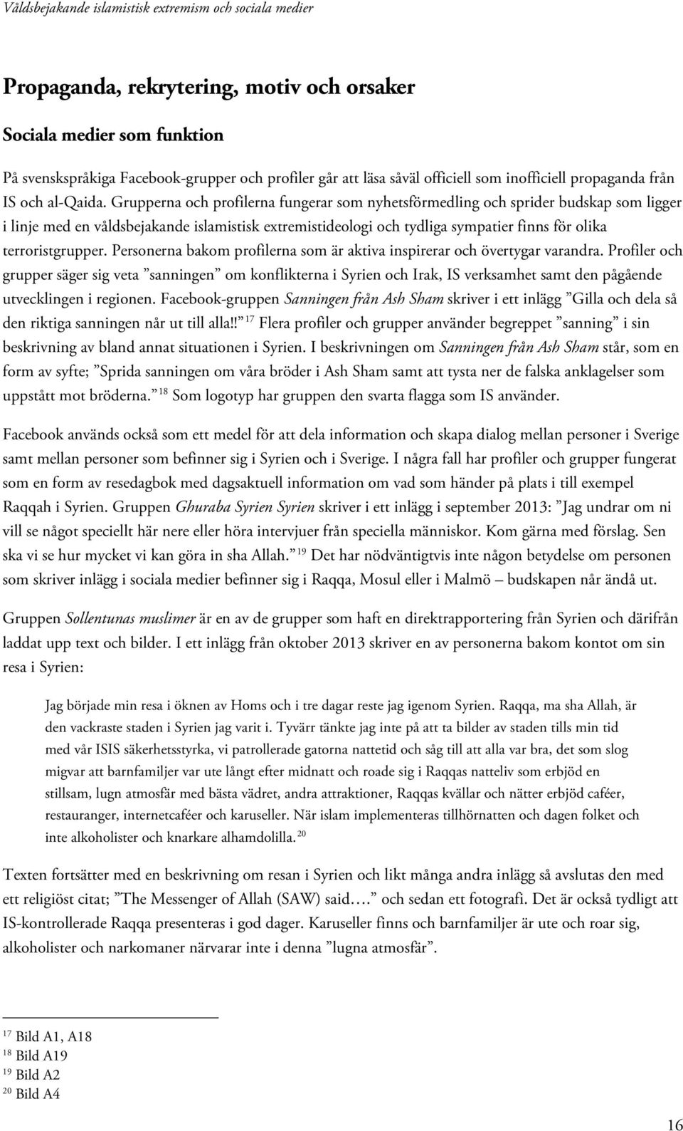 terroristgrupper. Personerna bakom profilerna som är aktiva inspirerar och övertygar varandra.