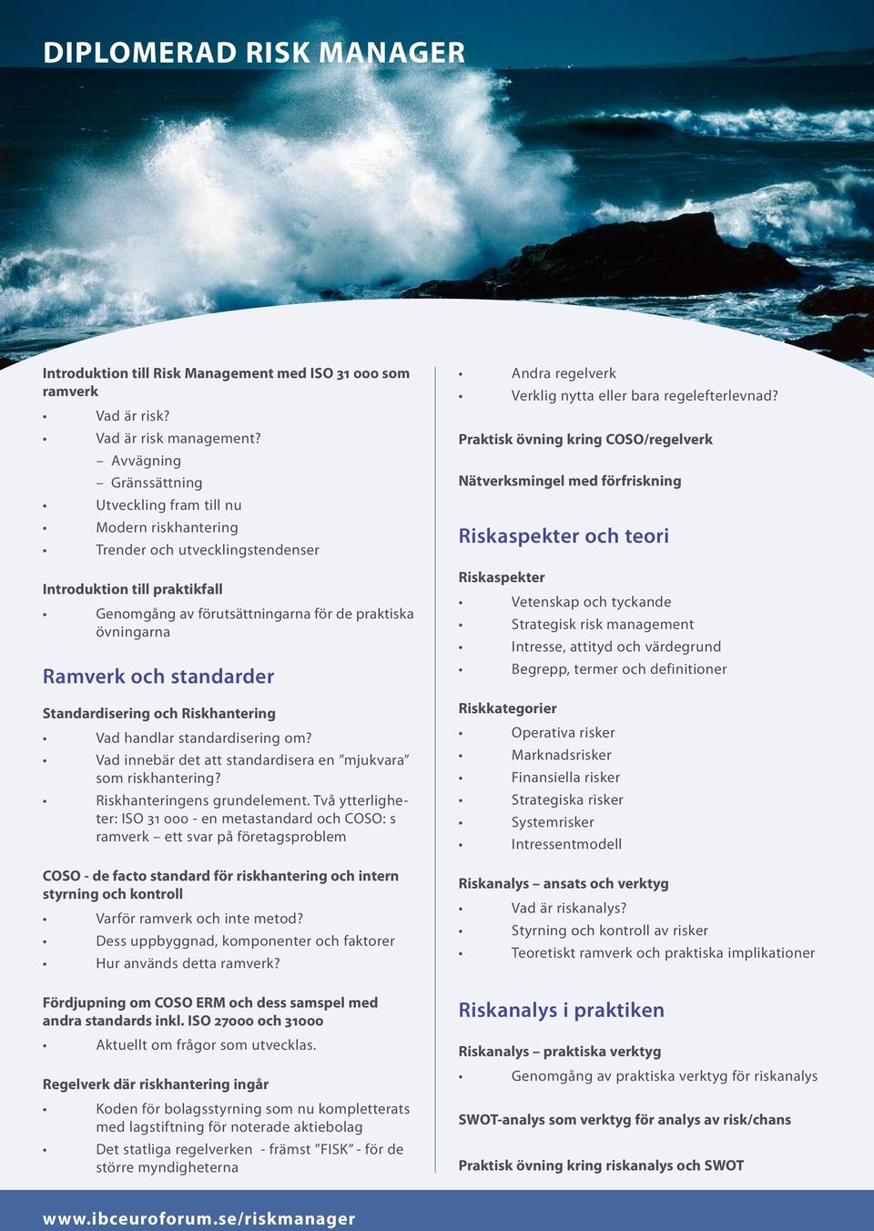 och standarder Standardisering och Riskhantering Vad handlar standardisering om? Vad innebär det att standardisera en mjukvara som riskhantering? Riskhanteringens grundelement.