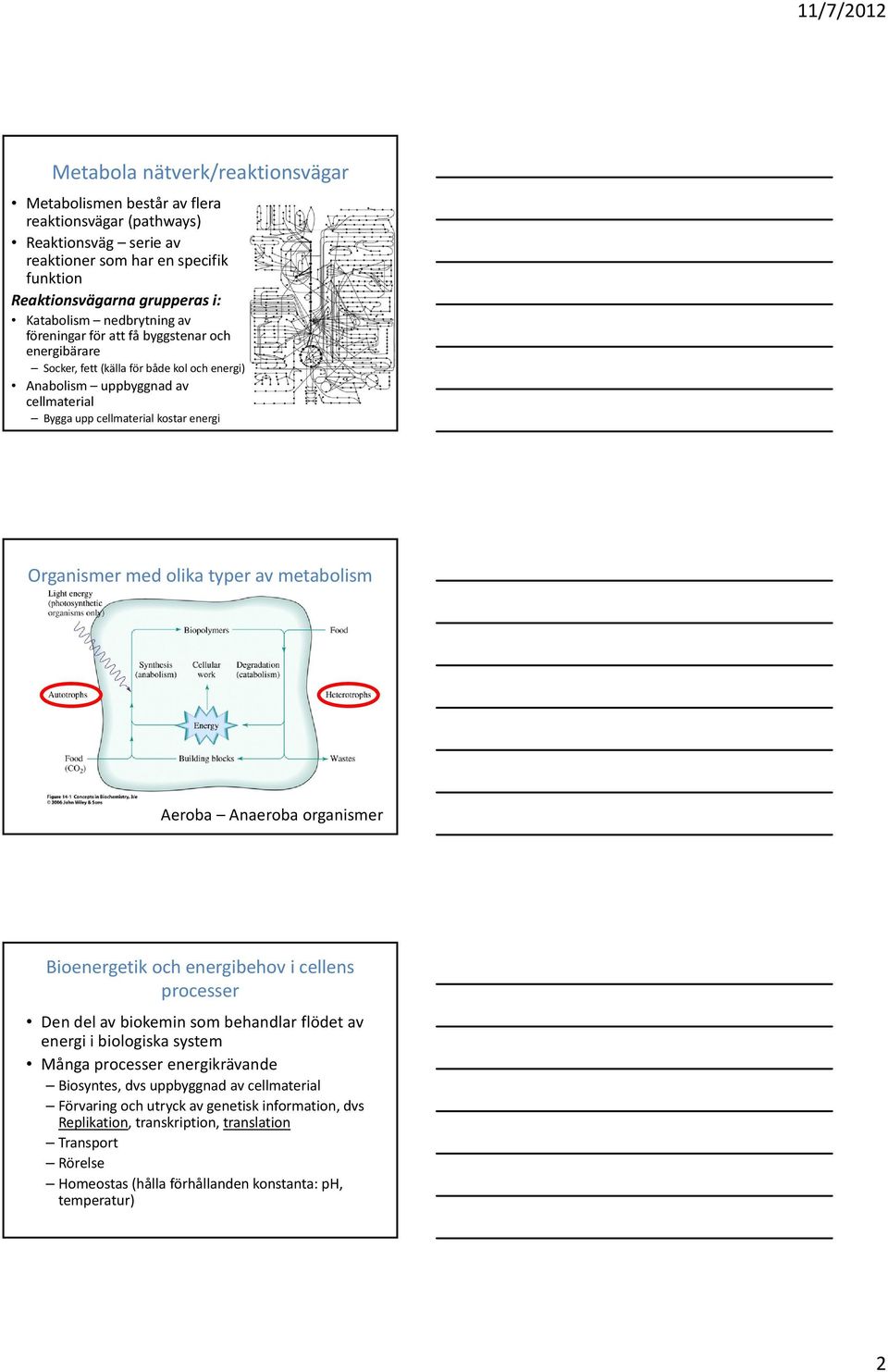 olika typer av metabolism Aeroba Anaeroba organismer Bioenergetik och energibehov i cellens processer Den del av biokemin som behandlar flödet av energi i biologiska system Många processer