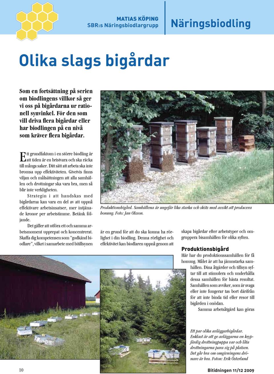 Ditt sätt att arbeta ska inte bromsa upp effektiviteten. Givetvis finns viljan och målsättningen att alla samhällen och drottningar ska vara bra, men så blir inte verkligheten.