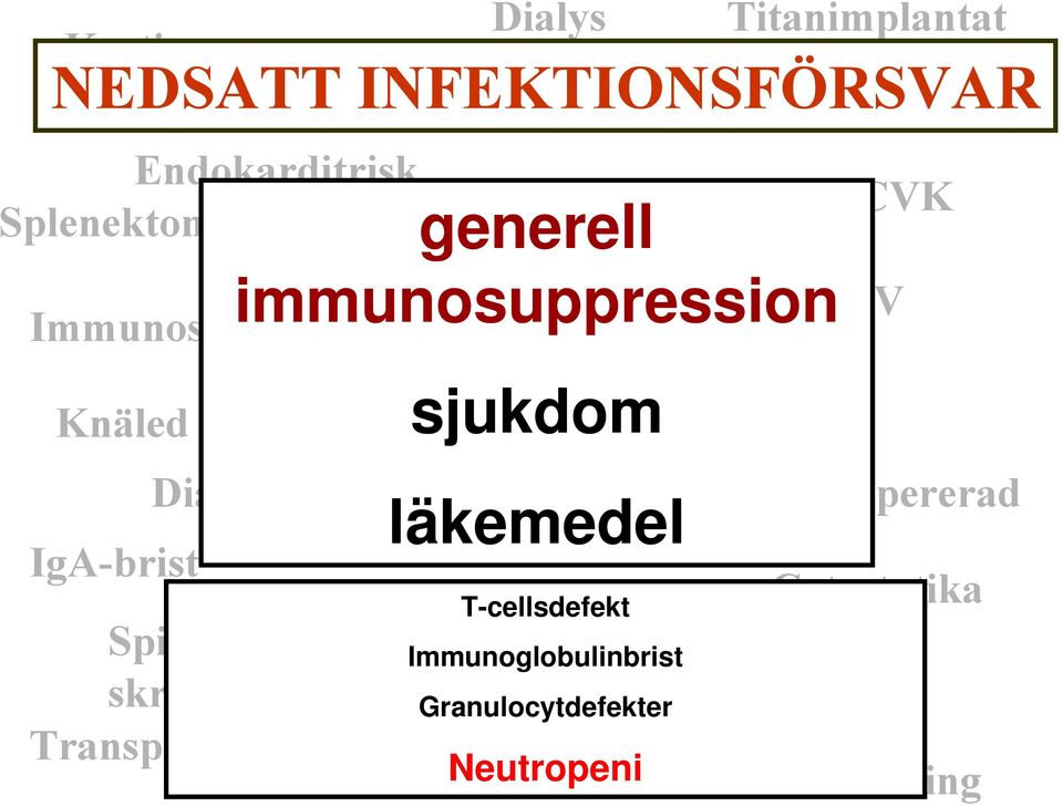 By-pass Diabetes Hjärtklaffsopererad läkemedel IgA-brist Cancer T-cellsdefekt Stent Cytostatika Spikar