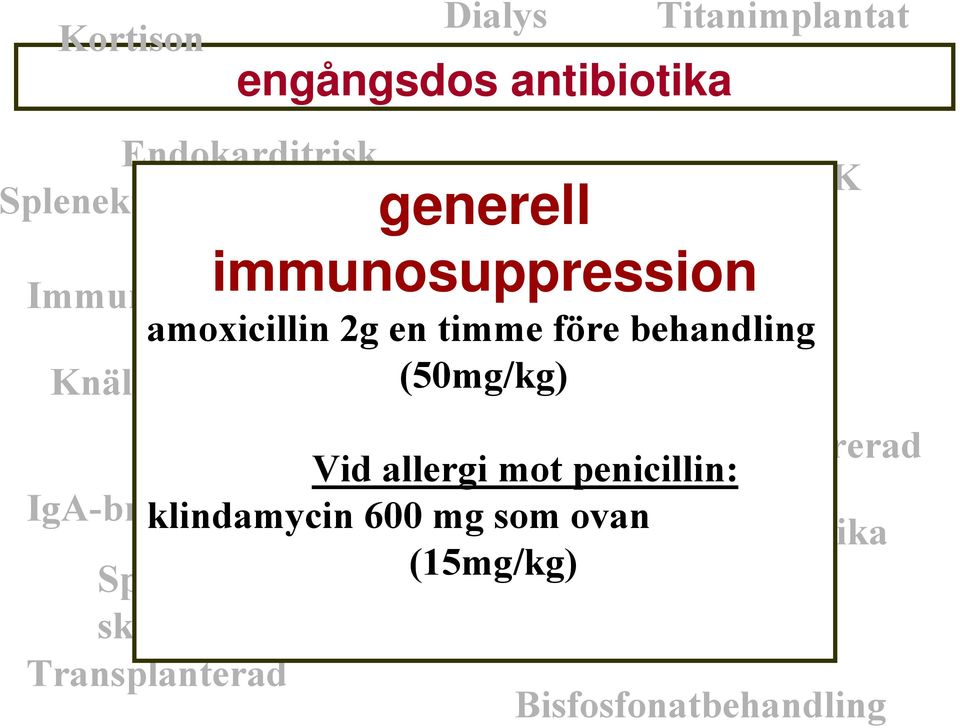 Höftled Knäled (50mg/kg) By-pass Diabetes Hjärtklaffsopererad Vid allergi mot penicillin: IgA-brist Cancer