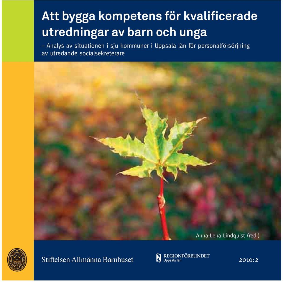 utredningar av barn och
