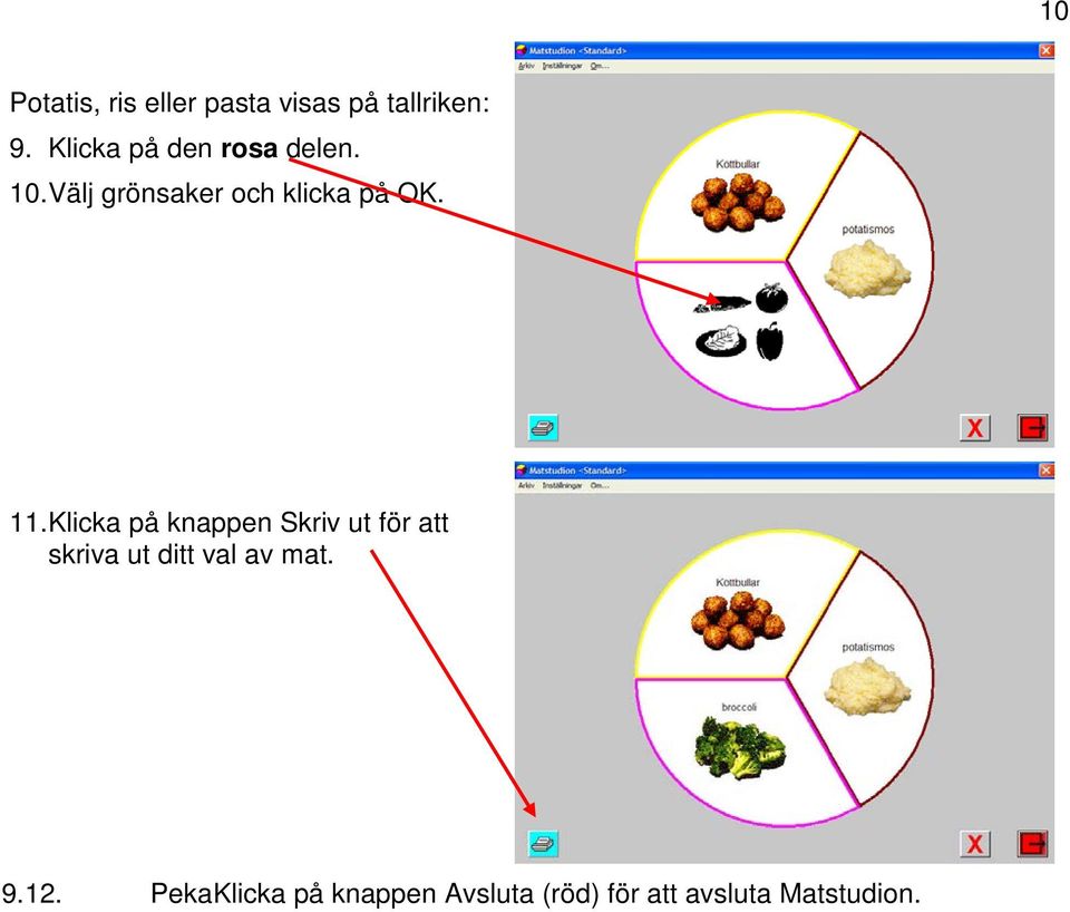 11. Klicka på knappen Skriv ut för att skriva ut ditt val av
