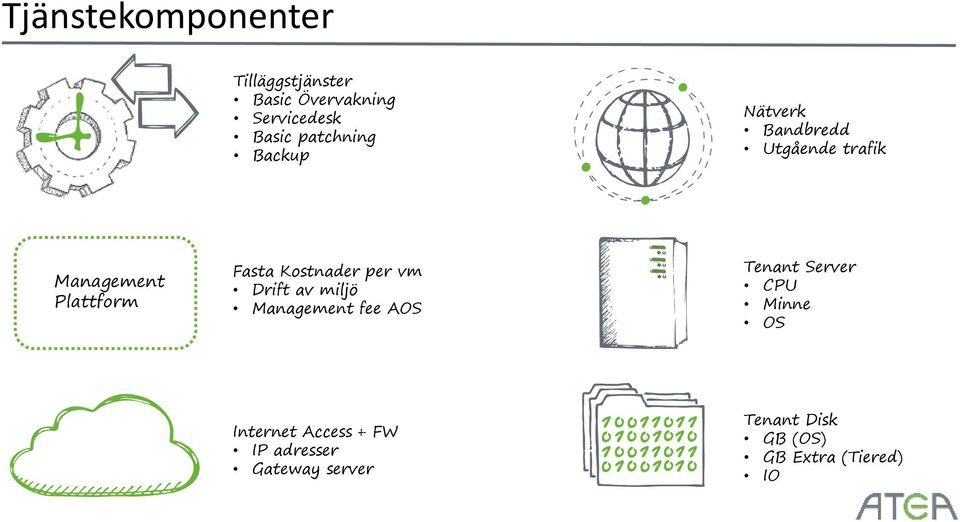 Kostnader per vm Drift av miljö Management fee AOS Tenant Server CPU Minne OS