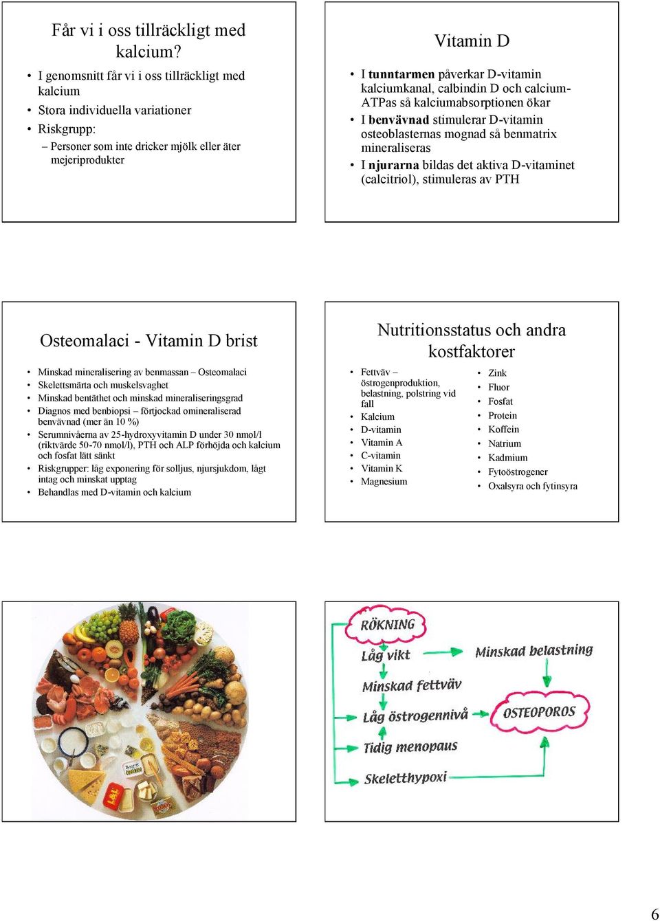 kalciumkanal, calbindin D och calcium- ATPas så kalciumabsorptionen ökar I benvävnad stimulerar D-vitamin osteoblasternas mognad så benmatrix mineraliseras I njurarna bildas det aktiva D-vitaminet