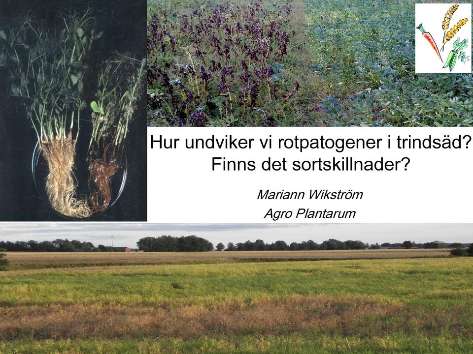 Finns det sortskillnader?