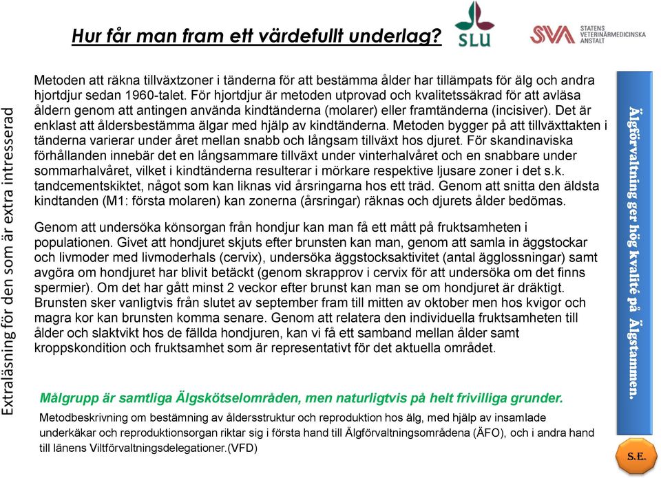 Det är enklast att åldersbestämma älgar med hjälp av kindtänderna. Metoden bygger på att tillväxttakten i tänderna varierar under året mellan snabb och långsam tillväxt hos djuret.