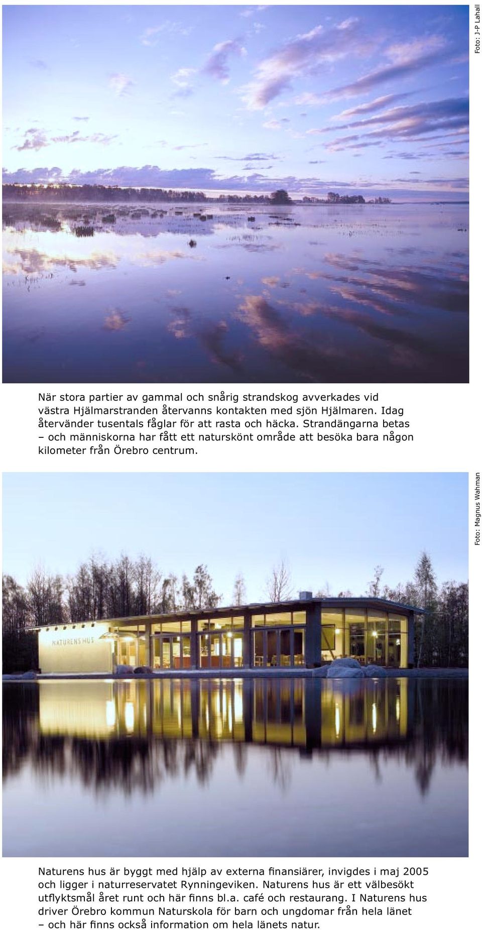 Strandängarna betas och människorna har fått ett naturskönt område att besöka bara någon kilometer från Örebro centrum.