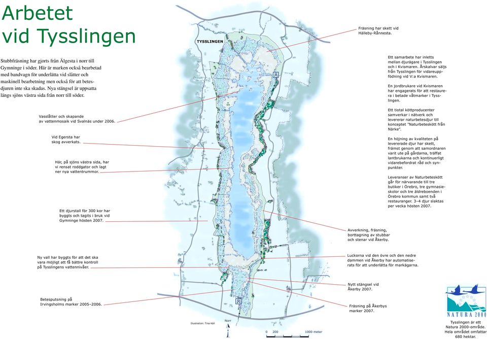 Nya stängsel är uppsatta längs sjöns västra sida från norr till söder. Vasslåtter och skapande av vattenmosaik vid Svalnäs under 2006. Vid Egersta har skog avverkats.