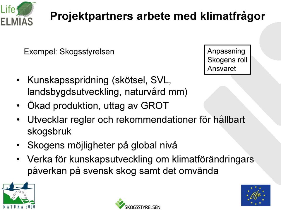 rekommendationer för hållbart skogsbruk Skogens möjligheter på global nivå Anpassning Skogens