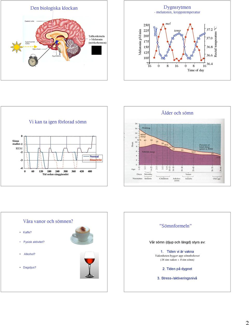 4 Ålder och sömn Vi kan ta igen förlorad sömn REM Våra vanor och sömnen? Sömnformeln Kaffe? Fysisk aktivitet? lkohol? Dagsljus?