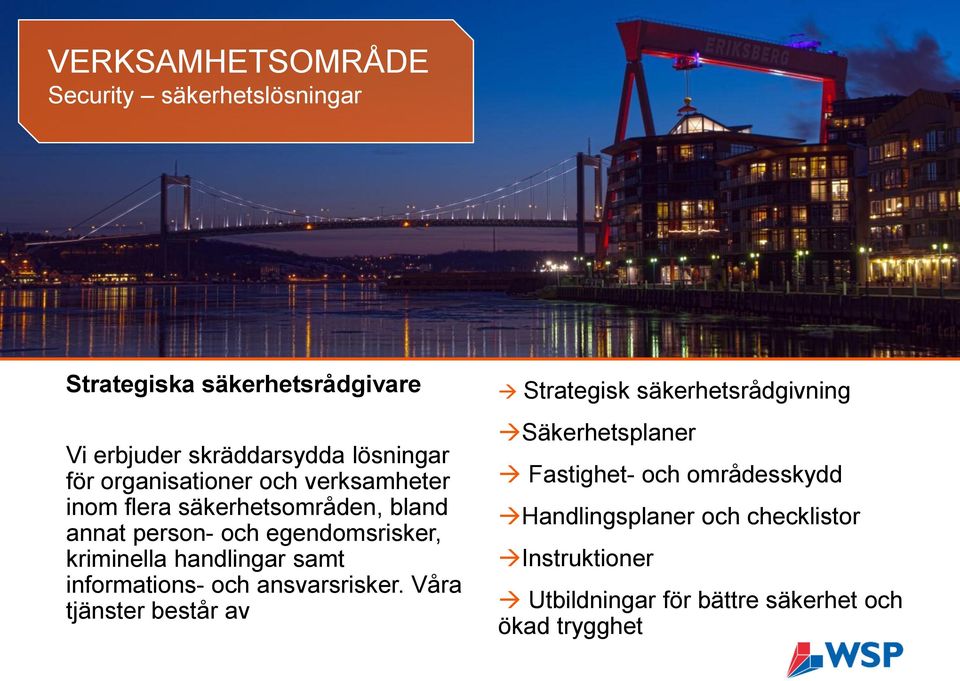 handlingar samt informations- och ansvarsrisker.