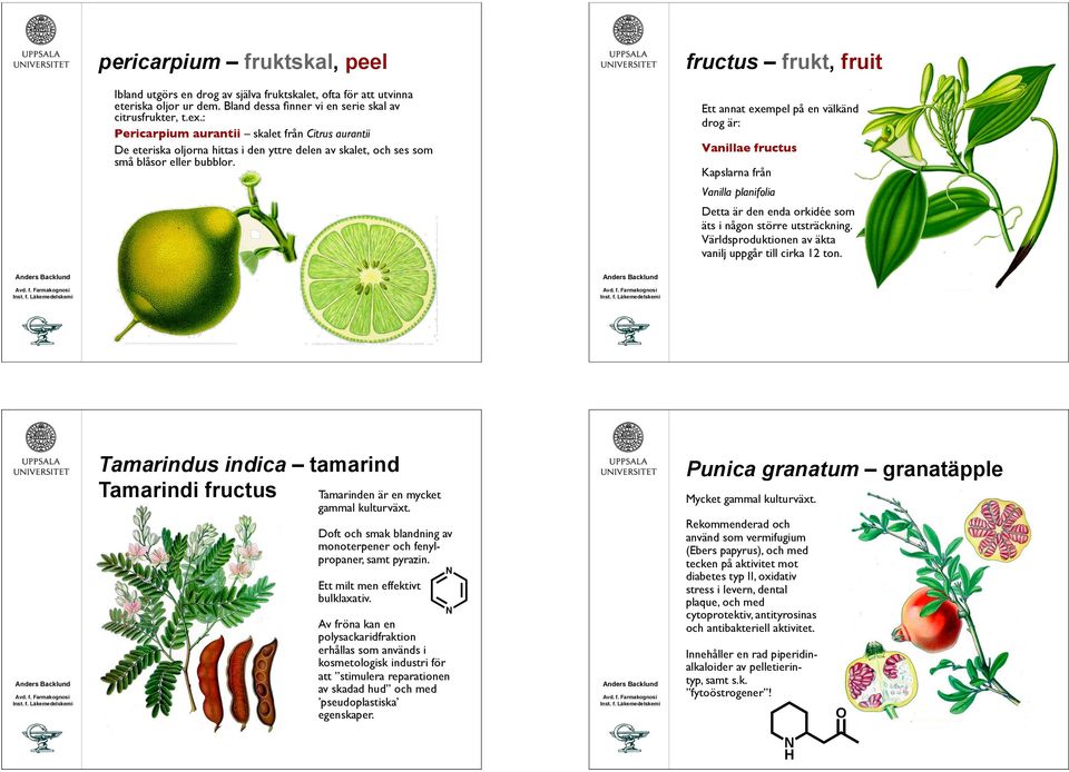 Ett annat exempel på en välkänd drog är: Vanillae fructus Kapslarna från Vanilla planifolia Detta är den enda orkidée som äts i någon större utsträckning.