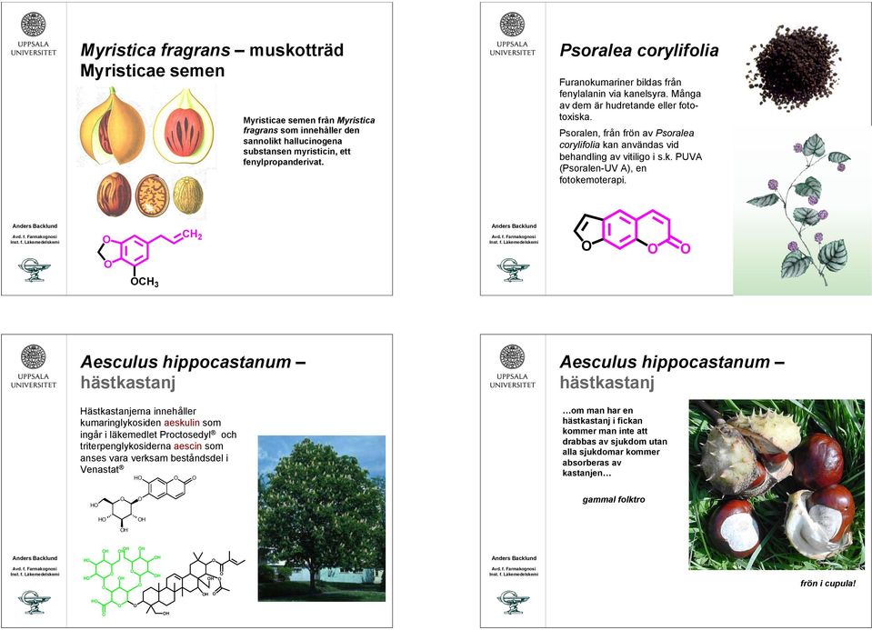 CH2 Psoralen, från frön av Psoralea corylifolia kan användas vid behandling av vitiligo i s.k. PUVA (Psoralen-UV A), en fotokemoterapi.