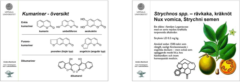 familjen Loganiaceae med en serie mycket kraftfulla terpenoida alkaloider. Stryknin LD 0.2 mg/kg.