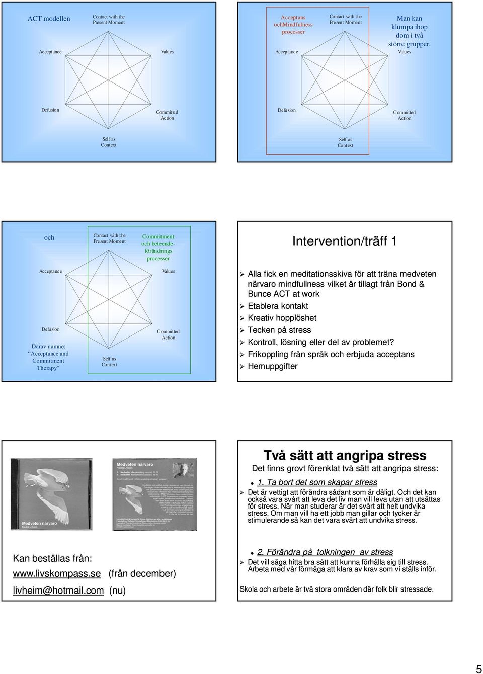 Acceptance Defusion Därav namnet Acceptance and Commitment Therapy Self as Context Values Committed Action Alla fick en meditationsskiva för att träna medveten närvaro mindfullness vilket är tillagt