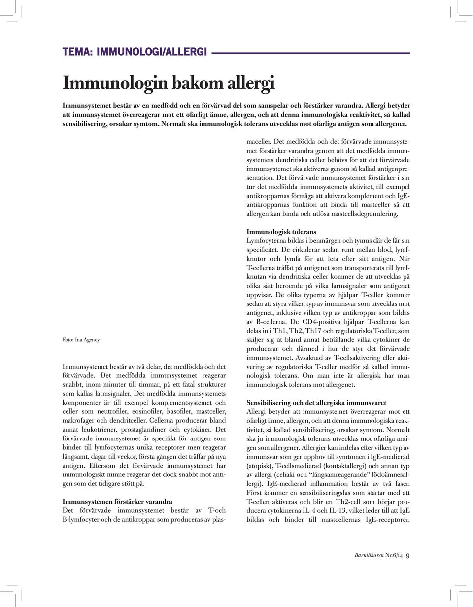 Normalt ska immunologisk tolerans utvecklas mot ofarliga antigen som allergener.