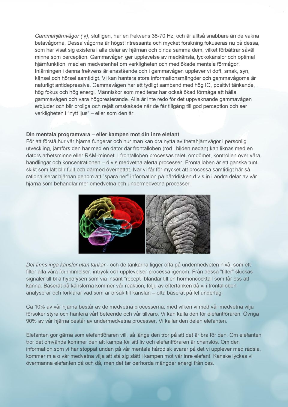 Gammavågen ger upplevelse av medkänsla, lyckokänslor och optimal hjärnfunktion, med en medvetenhet om verkligheten och med ökade mentala förmågor.