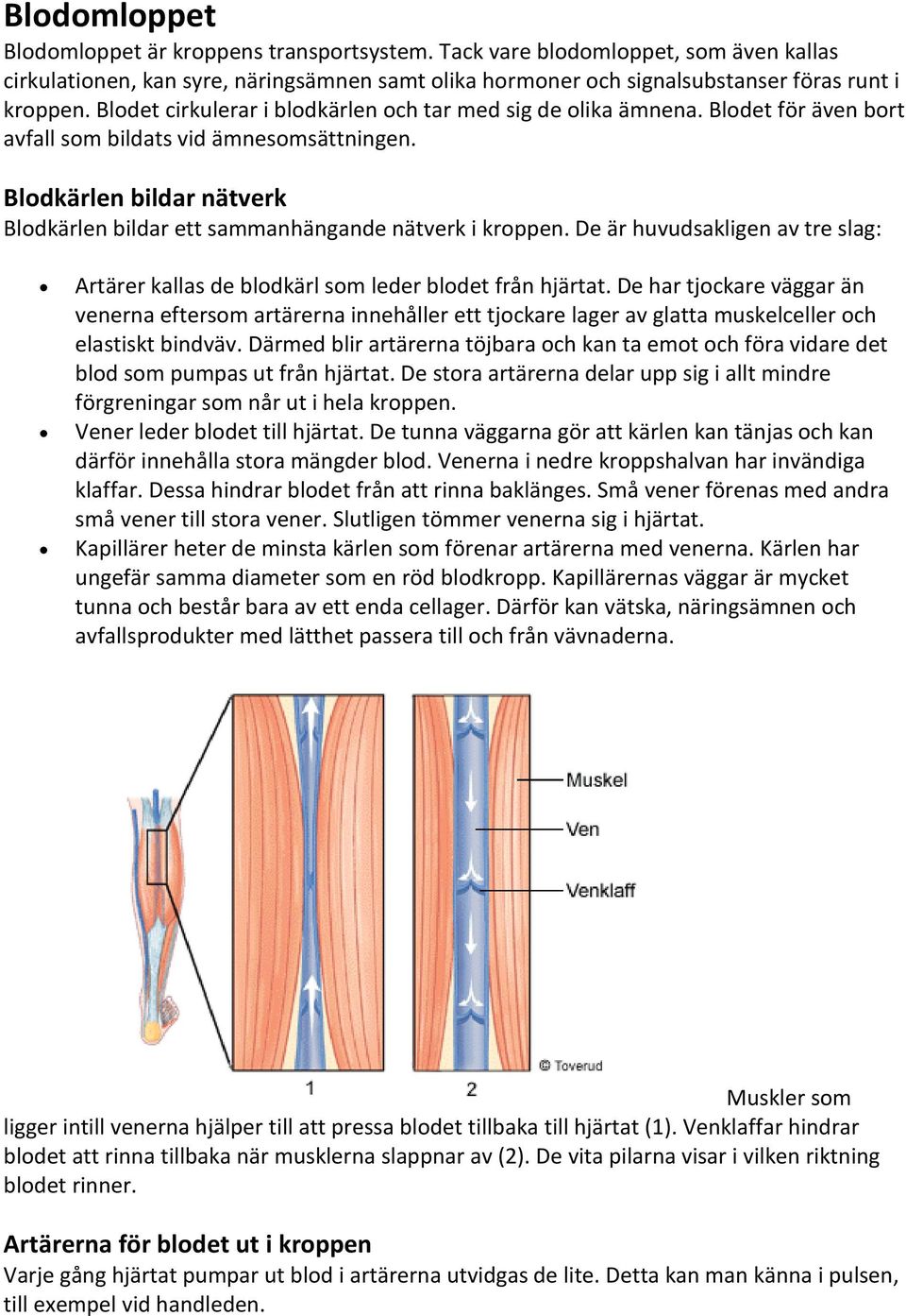 Blodkärlen bildar nätverk Blodkärlen bildar ett sammanhängande nätverk i kroppen. De är huvudsakligen av tre slag: Artärer kallas de blodkärl som leder blodet från hjärtat.