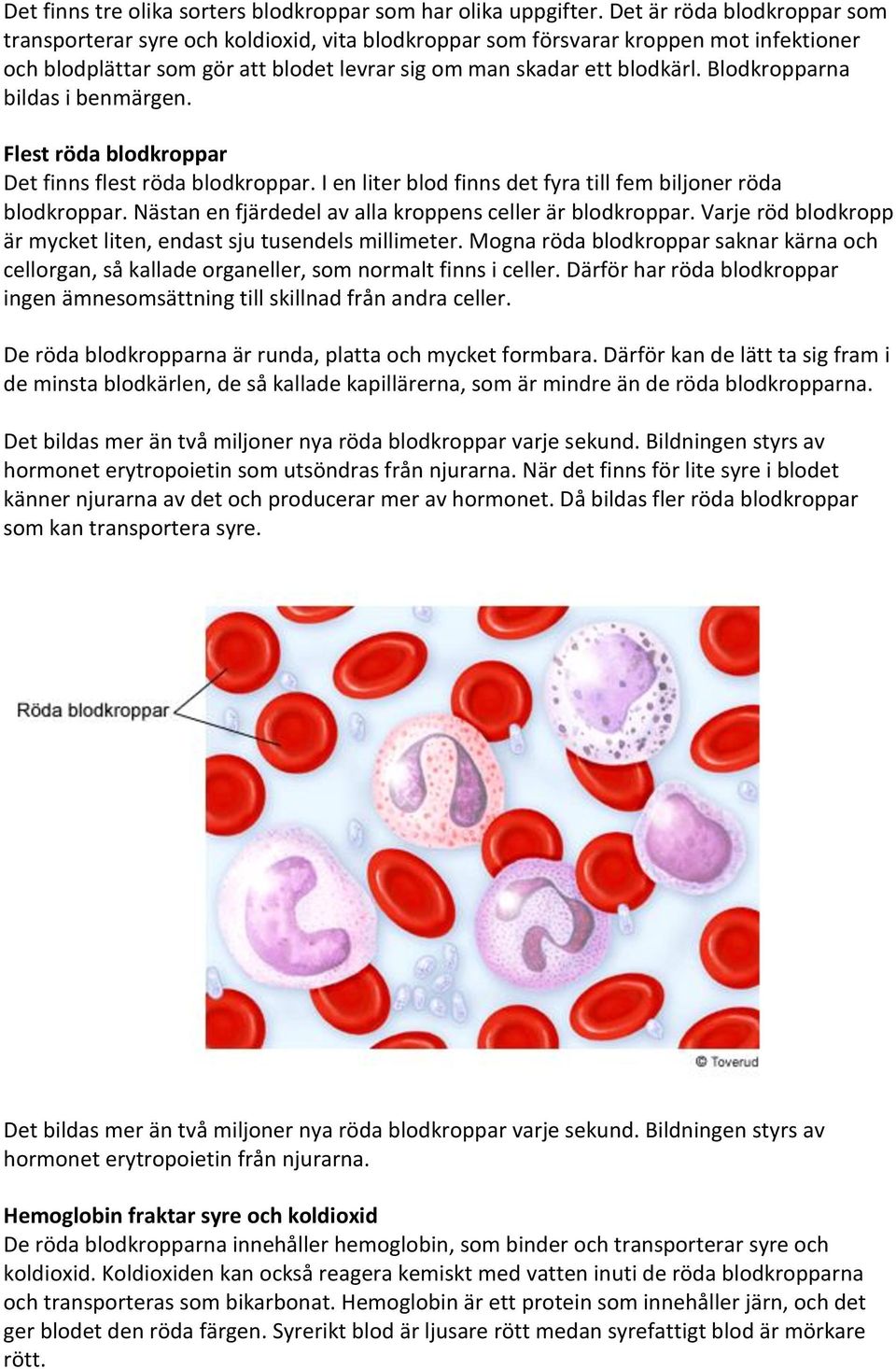 Blodkropparna bildas i benmärgen. Flest röda blodkroppar Det finns flest röda blodkroppar. I en liter blod finns det fyra till fem biljoner röda blodkroppar.