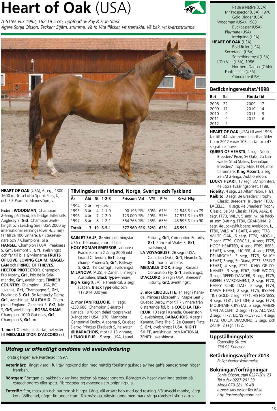 Champion avelshingst och Leading Sire i USA 2000 by international earnings (över -6,5 milj) far till ca 400 vinnare, 67 Stakesvinnare och 7 Champions, bl a Hansel, Champion i USA, Preakness S, Gr1,