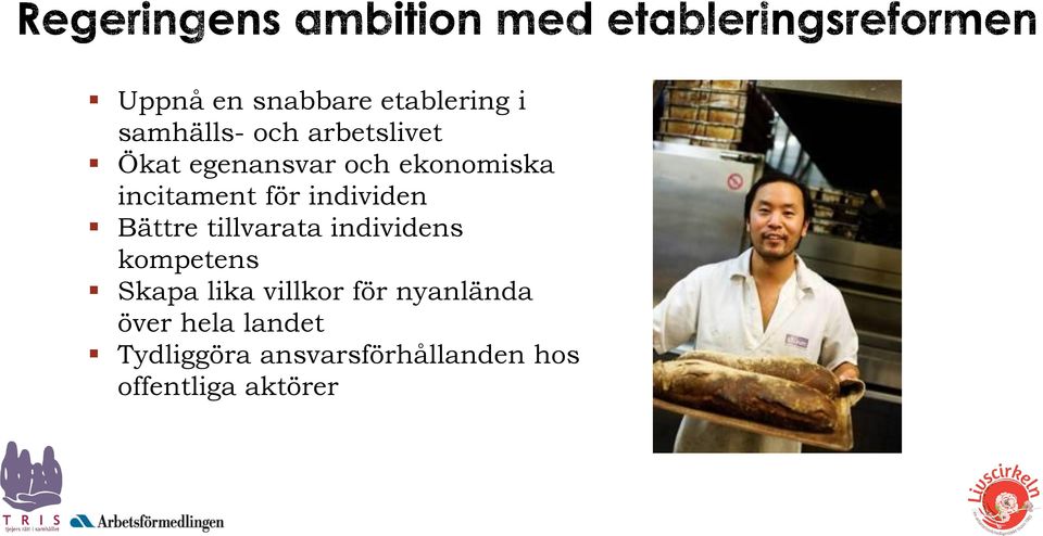 tillvarata individens kompetens Skapa lika villkor för