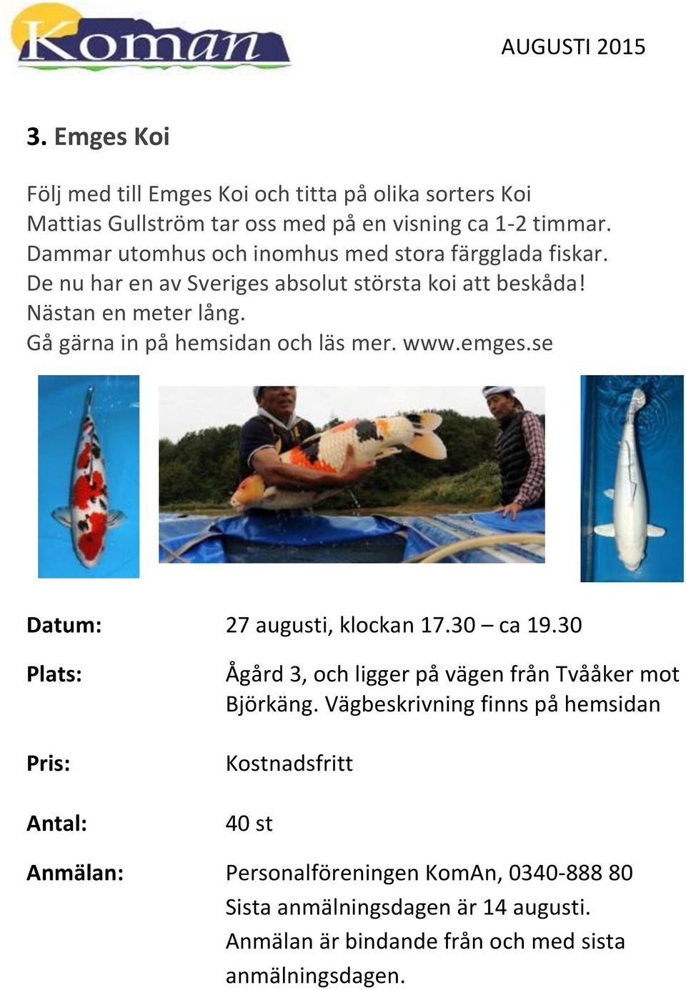 Nästan en meter lång. Gå gärna in på hemsidan och läs mer. www.emges.se 27 augusti, klockan 17.30 ca 19.